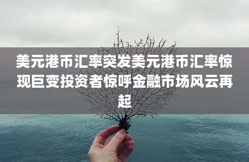 美元港币汇率突发美元港币汇率惊现巨变投资者惊呼金融市场风云再起