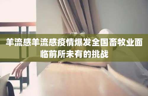 羊流感羊流感疫情爆发全国畜牧业面临前所未有的挑战