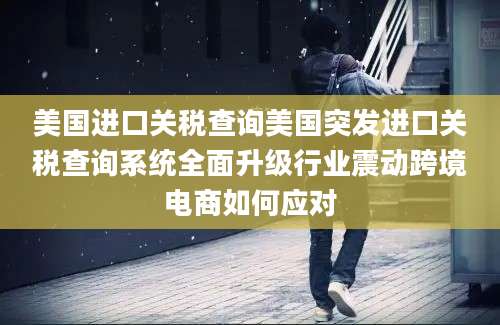 美国进口关税查询美国突发进口关税查询系统全面升级行业震动跨境电商如何应对