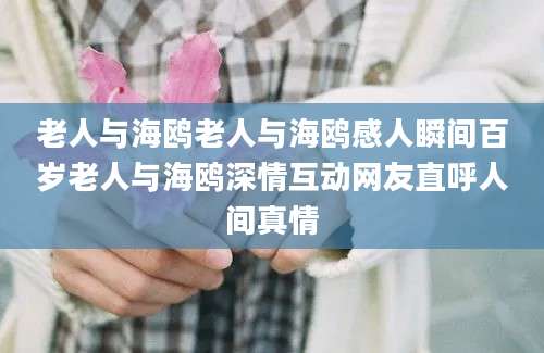 老人与海鸥老人与海鸥感人瞬间百岁老人与海鸥深情互动网友直呼人间真情