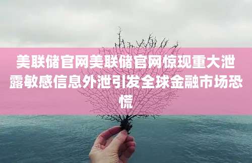 美联储官网美联储官网惊现重大泄露敏感信息外泄引发全球金融市场恐慌