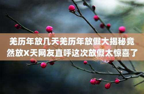 羌历年放几天羌历年放假大揭秘竟然放X天网友直呼这次放假太惊喜了