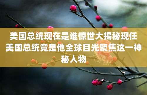 美国总统现在是谁惊世大揭秘现任美国总统竟是他全球目光聚焦这一神秘人物