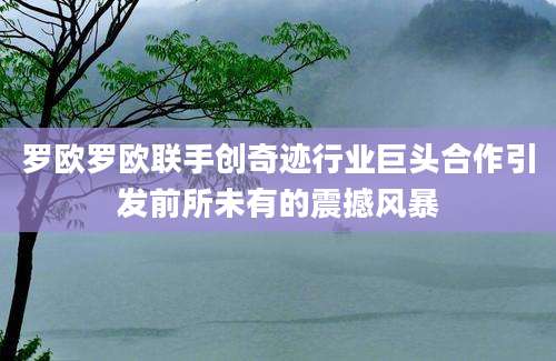 罗欧罗欧联手创奇迹行业巨头合作引发前所未有的震撼风暴