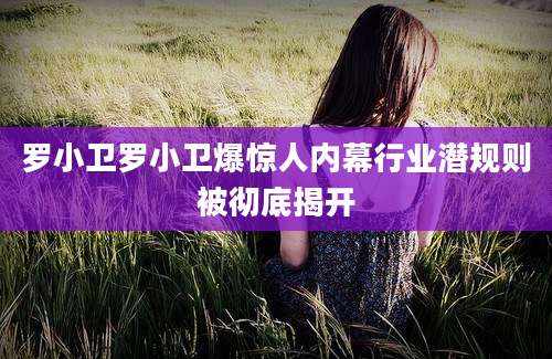 罗小卫罗小卫爆惊人内幕行业潜规则被彻底揭开