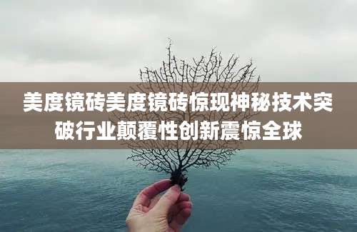 美度镜砖美度镜砖惊现神秘技术突破行业颠覆性创新震惊全球