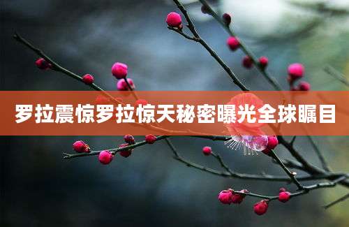 罗拉震惊罗拉惊天秘密曝光全球瞩目