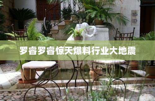 罗睿罗睿惊天爆料行业大地震