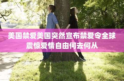 美国禁爱美国突然宣布禁爱令全球震惊爱情自由何去何从
