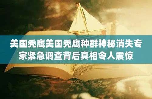 美国秃鹰美国秃鹰种群神秘消失专家紧急调查背后真相令人震惊