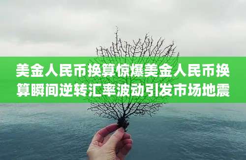 美金人民币换算惊爆美金人民币换算瞬间逆转汇率波动引发市场地震