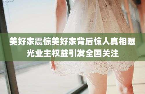 美好家震惊美好家背后惊人真相曝光业主权益引发全国关注