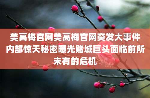 美高梅官网美高梅官网突发大事件内部惊天秘密曝光赌城巨头面临前所未有的危机