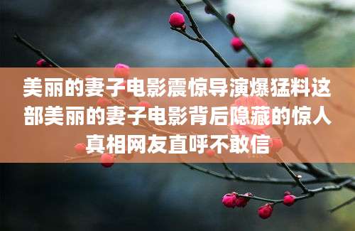 美丽的妻子电影震惊导演爆猛料这部美丽的妻子电影背后隐藏的惊人真相网友直呼不敢信
