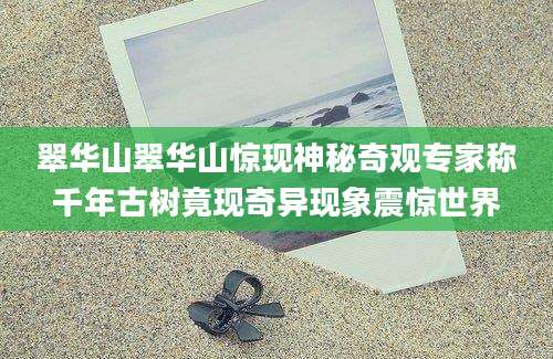 翠华山翠华山惊现神秘奇观专家称千年古树竟现奇异现象震惊世界