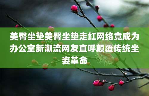 美臀坐垫美臀坐垫走红网络竟成为办公室新潮流网友直呼颠覆传统坐姿革命