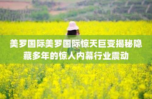 美罗国际美罗国际惊天巨变揭秘隐藏多年的惊人内幕行业震动