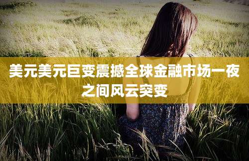 美元美元巨变震撼全球金融市场一夜之间风云突变