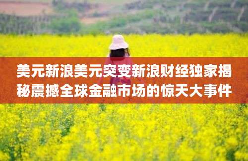美元新浪美元突变新浪财经独家揭秘震撼全球金融市场的惊天大事件