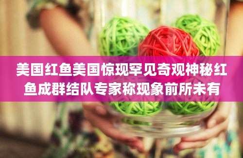 美国红鱼美国惊现罕见奇观神秘红鱼成群结队专家称现象前所未有