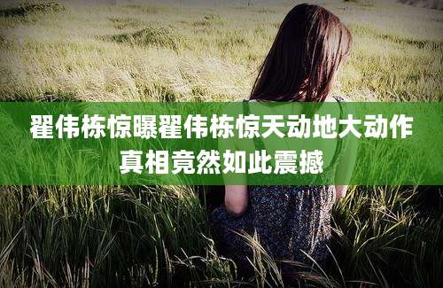 翟伟栋惊曝翟伟栋惊天动地大动作真相竟然如此震撼