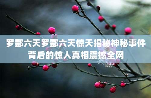 罗酆六天罗酆六天惊天揭秘神秘事件背后的惊人真相震撼全网