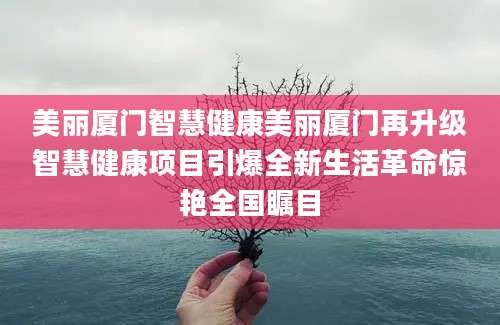 美丽厦门智慧健康美丽厦门再升级智慧健康项目引爆全新生活革命惊艳全国瞩目