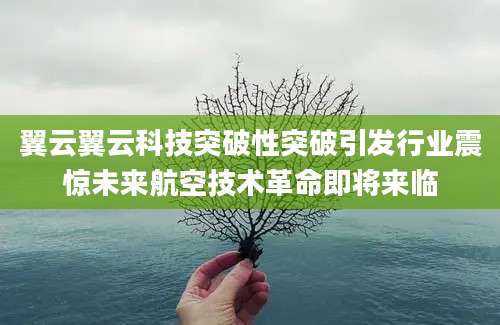 翼云翼云科技突破性突破引发行业震惊未来航空技术革命即将来临