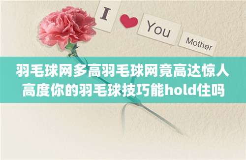 羽毛球网多高羽毛球网竟高达惊人高度你的羽毛球技巧能hold住吗