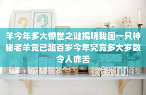 羊今年多大惊世之谜揭晓我国一只神秘老羊竟已超百岁今年究竟多大岁数令人咋舌