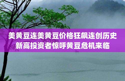 美黄豆连美黄豆价格狂飙连创历史新高投资者惊呼黄豆危机来临