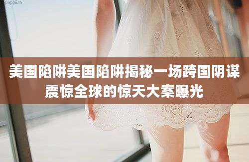 美国陷阱美国陷阱揭秘一场跨国阴谋震惊全球的惊天大案曝光