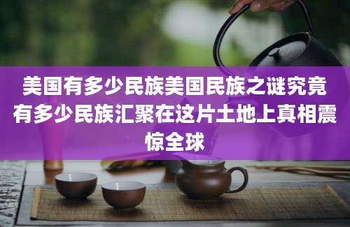 美国有多少民族美国民族之谜究竟有多少民族汇聚在这片土地上真相震惊全球