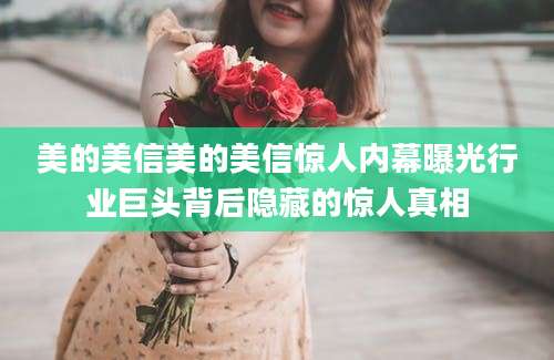 美的美信美的美信惊人内幕曝光行业巨头背后隐藏的惊人真相
