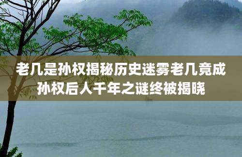 老几是孙权揭秘历史迷雾老几竟成孙权后人千年之谜终被揭晓
