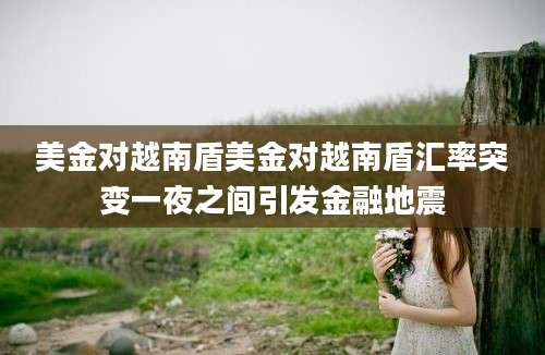 美金对越南盾美金对越南盾汇率突变一夜之间引发金融地震