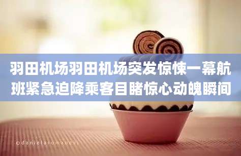 羽田机场羽田机场突发惊悚一幕航班紧急迫降乘客目睹惊心动魄瞬间