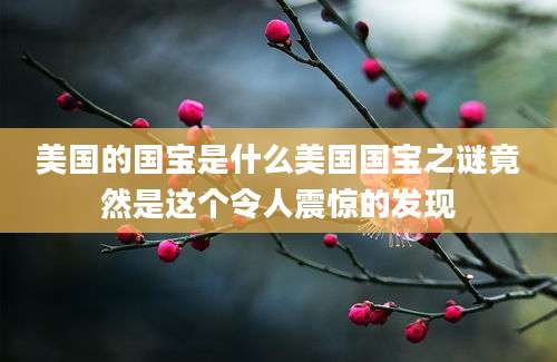 美国的国宝是什么美国国宝之谜竟然是这个令人震惊的发现