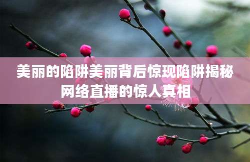 美丽的陷阱美丽背后惊现陷阱揭秘网络直播的惊人真相