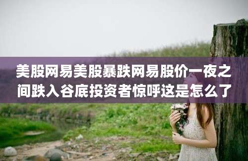 美股网易美股暴跌网易股价一夜之间跌入谷底投资者惊呼这是怎么了