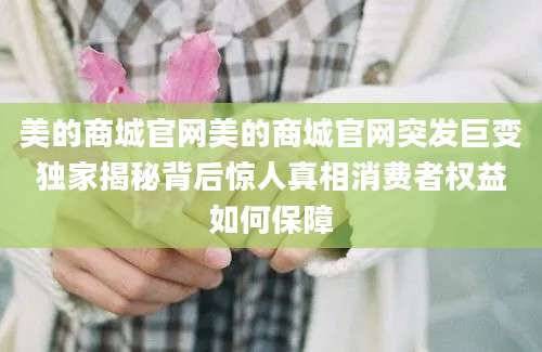 美的商城官网美的商城官网突发巨变独家揭秘背后惊人真相消费者权益如何保障
