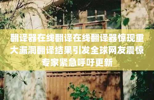 翻译器在线翻译在线翻译器惊现重大漏洞翻译结果引发全球网友震惊专家紧急呼吁更新