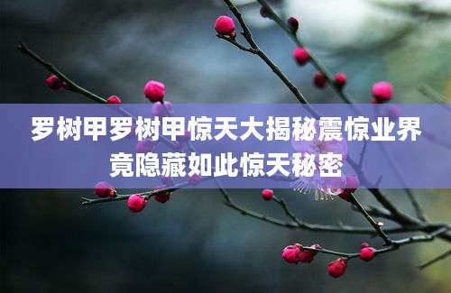罗树甲罗树甲惊天大揭秘震惊业界竟隐藏如此惊天秘密