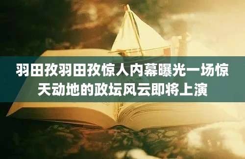 羽田孜羽田孜惊人内幕曝光一场惊天动地的政坛风云即将上演