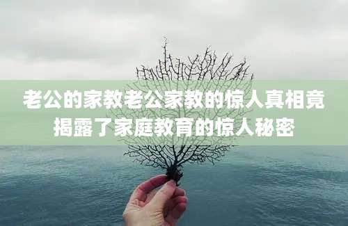 老公的家教老公家教的惊人真相竟揭露了家庭教育的惊人秘密