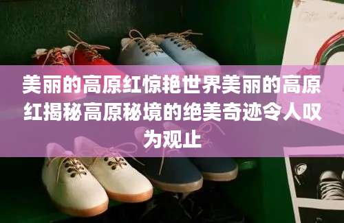 美丽的高原红惊艳世界美丽的高原红揭秘高原秘境的绝美奇迹令人叹为观止