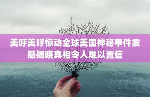 美呼美呼惊动全球美国神秘事件震撼揭晓真相令人难以置信