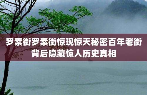 罗素街罗素街惊现惊天秘密百年老街背后隐藏惊人历史真相