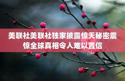 美联社美联社独家披露惊天秘密震惊全球真相令人难以置信