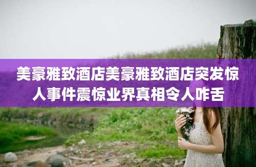 美豪雅致酒店美豪雅致酒店突发惊人事件震惊业界真相令人咋舌